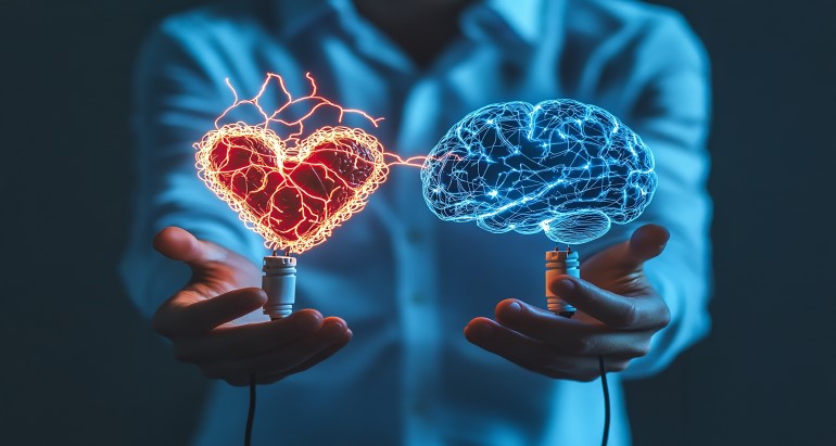 The Complete Web Development Course